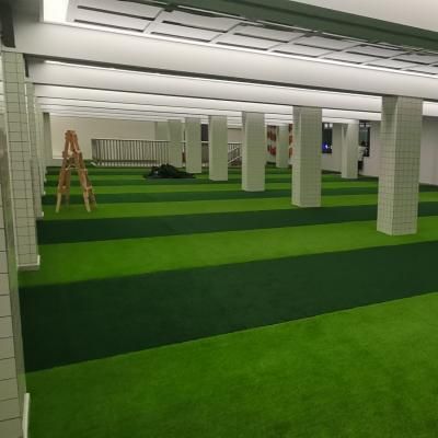 Soccer field turf